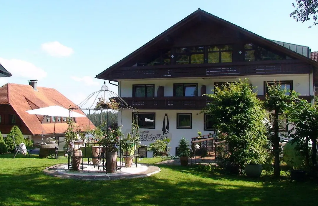 Hotel Restaurant Kniebishöhe-1